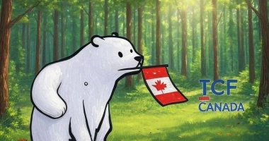 画面中央是一只以卡通风格绘制的白熊——TCF Canada 的吉祥物——正站在一片明亮的林间空地上。它的嘴里叼着一面印有红色枫叶的小加拿大国旗。阳光穿过高大的树木洒落在草地上，形成斑驳的光影，森林深处的绿色层层叠叠，显得宁静而清新。  画面右侧呈现着 “TCF CANADA” 的标志，与背景自然融合。 整体氛围安静又带着一丝俏皮，仿佛这位吉祥物正在带领未来的考生，在出发加拿大前先来一场森林漫步。