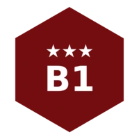 B1级别
