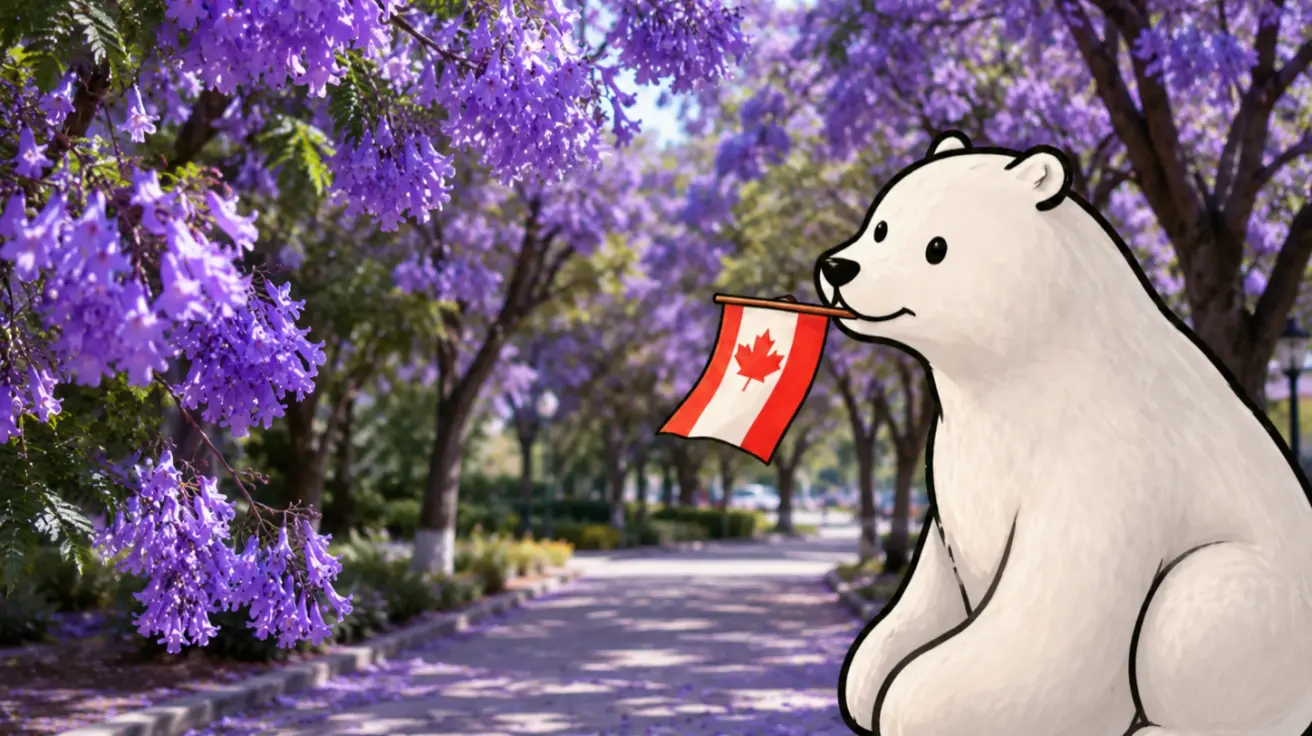 TCF Canada Listening : comment comprendre la véritable intention du locuteur ? — Partie 2