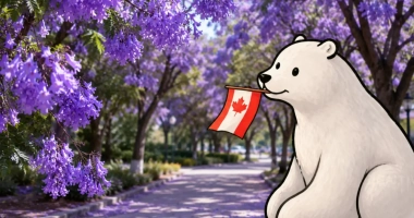 TCF Canada Listening : comment comprendre la véritable intention du locuteur ? — Partie 2