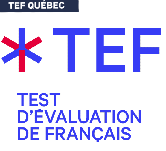 TEFAQ ⚜️ 💻