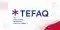Illustration du TEF Québec avec le logo TEF et une famille tenant des drapeaux du Québec.